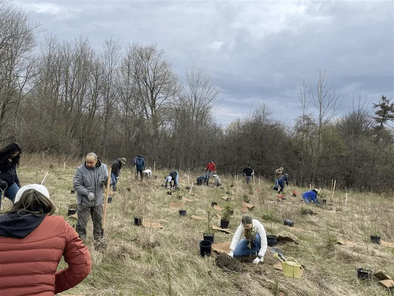 Earth day tree planting